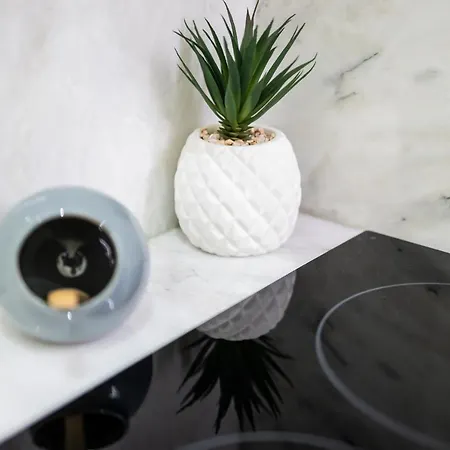 The Twin アパート