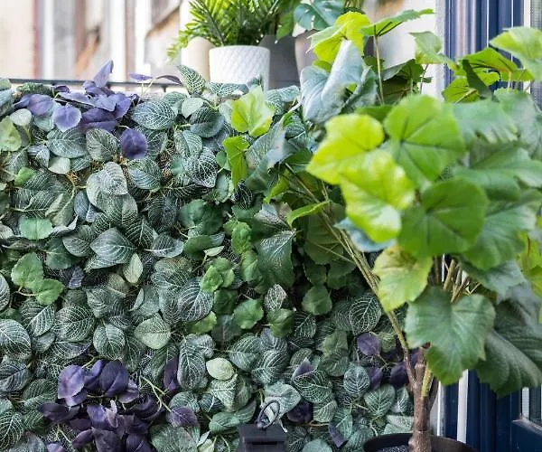 Lejlighed The Twin *